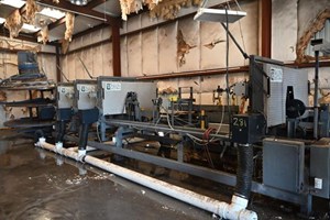 Walling 4 Head with Run Around  Resaw-Band